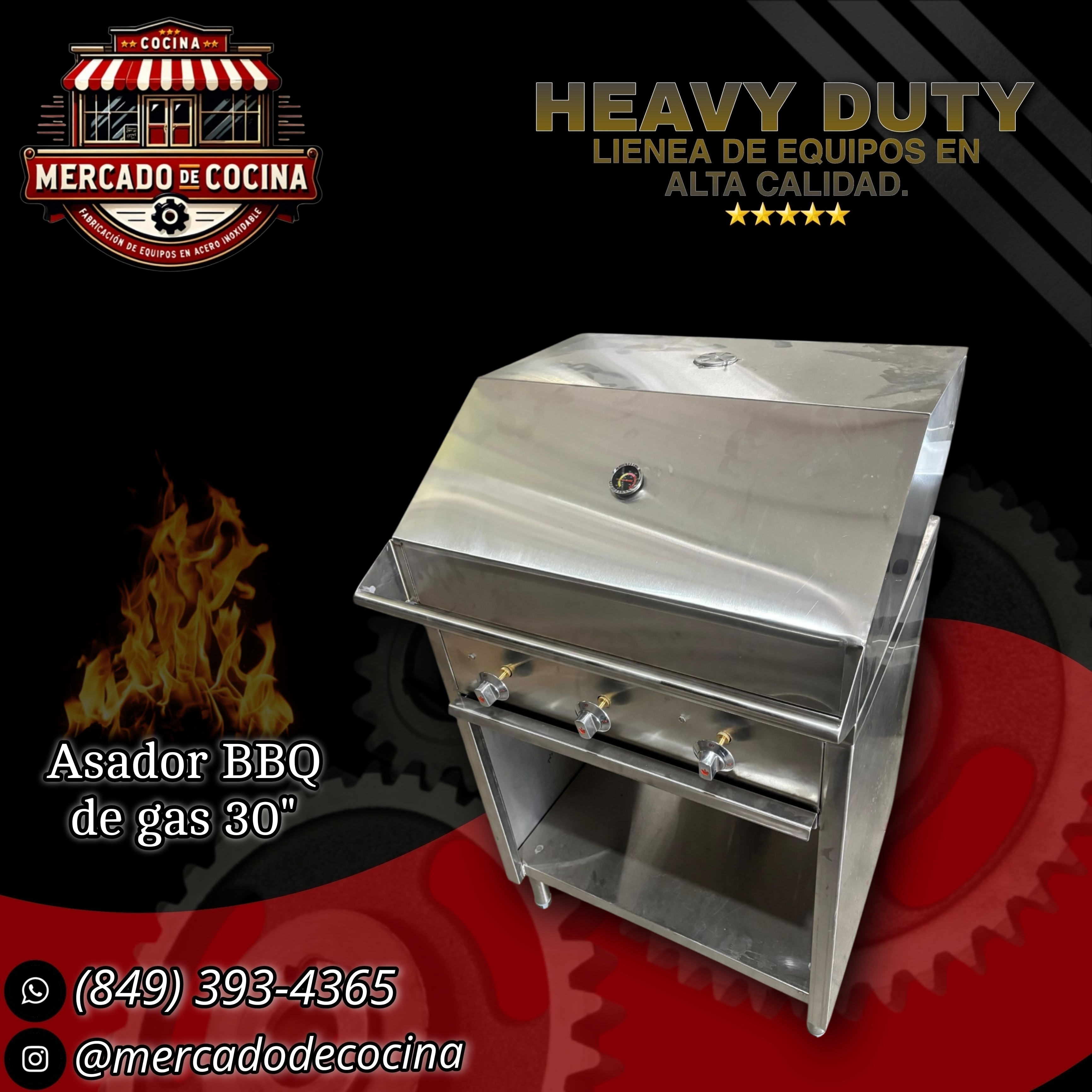 Asador BBQ de gas 30"con gabinete abierto